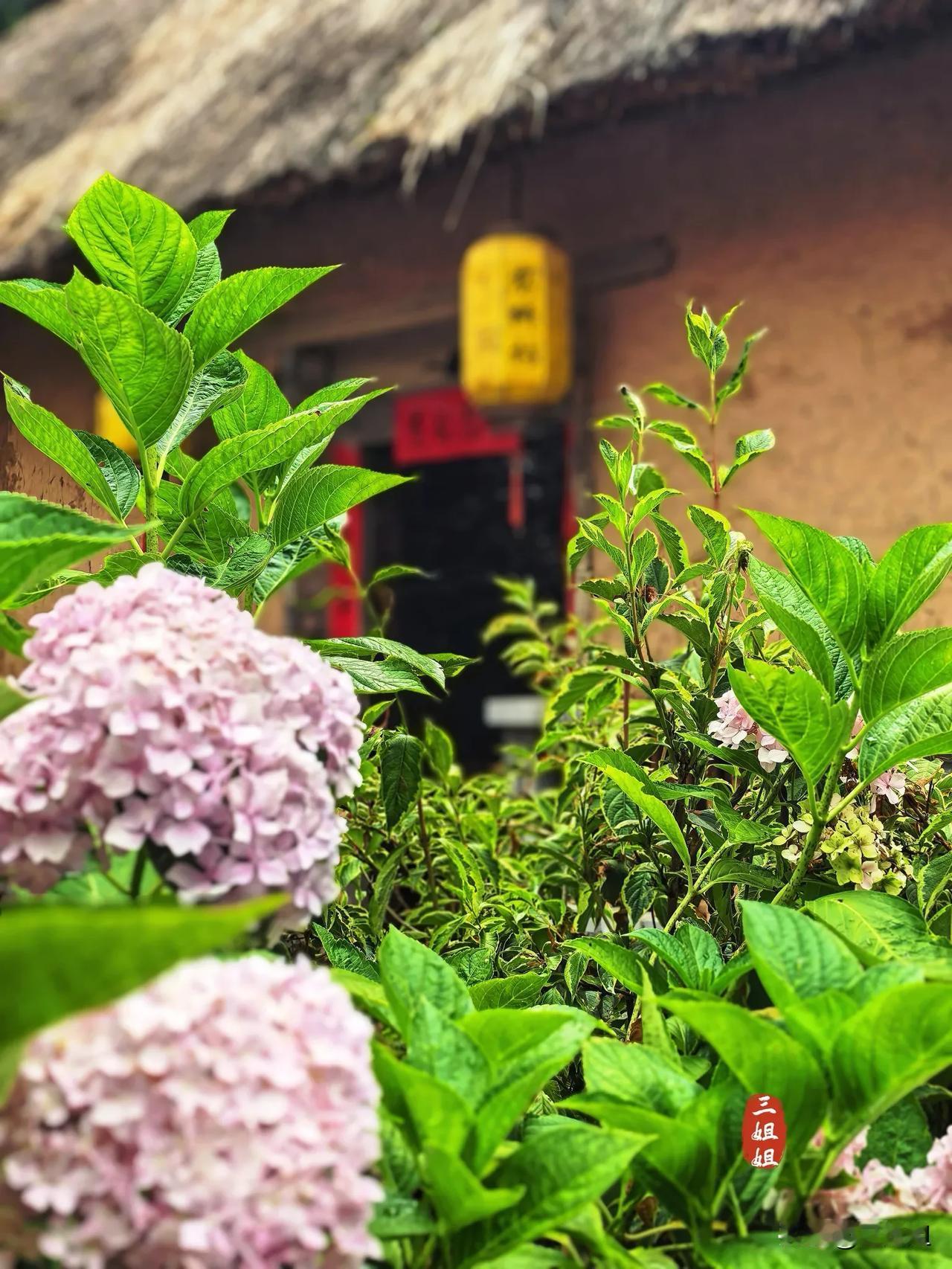 说起重渡沟，人们印象最深的是“重渡沟三绝”，既流泉飞瀑、万亩竹海、民宿集群；但我