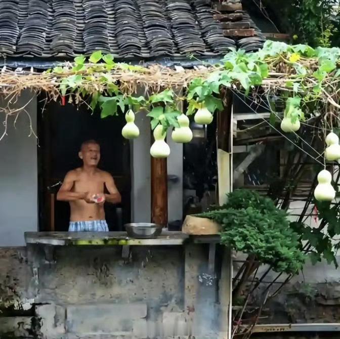 同样是面对热度，有人顺势抓住流量变现可大部分普通人只想回归平淡。流量是一把双刃剑