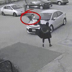 难道上辈子他们是一对冤家吗？🤔