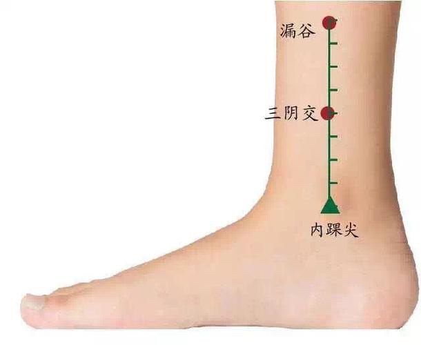 #春天是一个巨大的过敏原# 【脾最大的功能之一是运化水湿浊毒】每天中午11点，脾