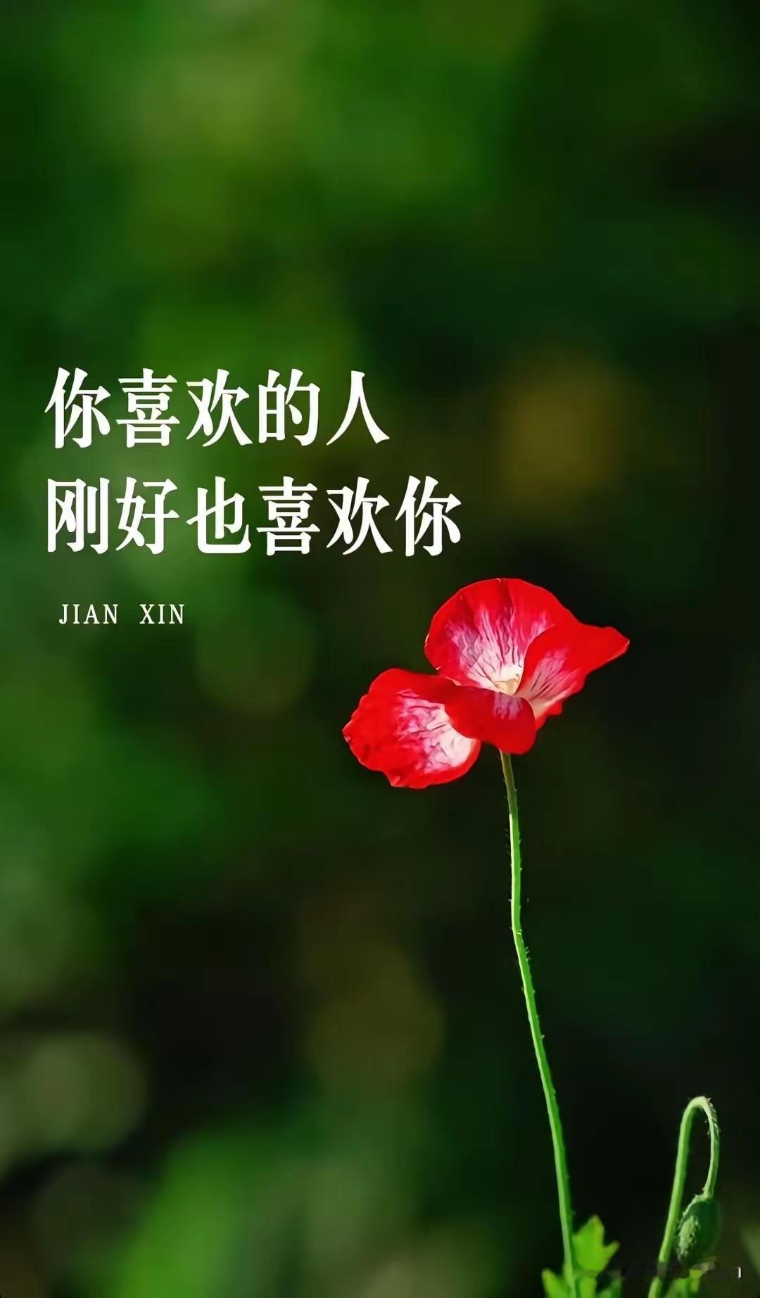 大千世界
茫茫人海中
我们不期而遇
成了情缘深交
我是那么地喜欢你
不知你是否