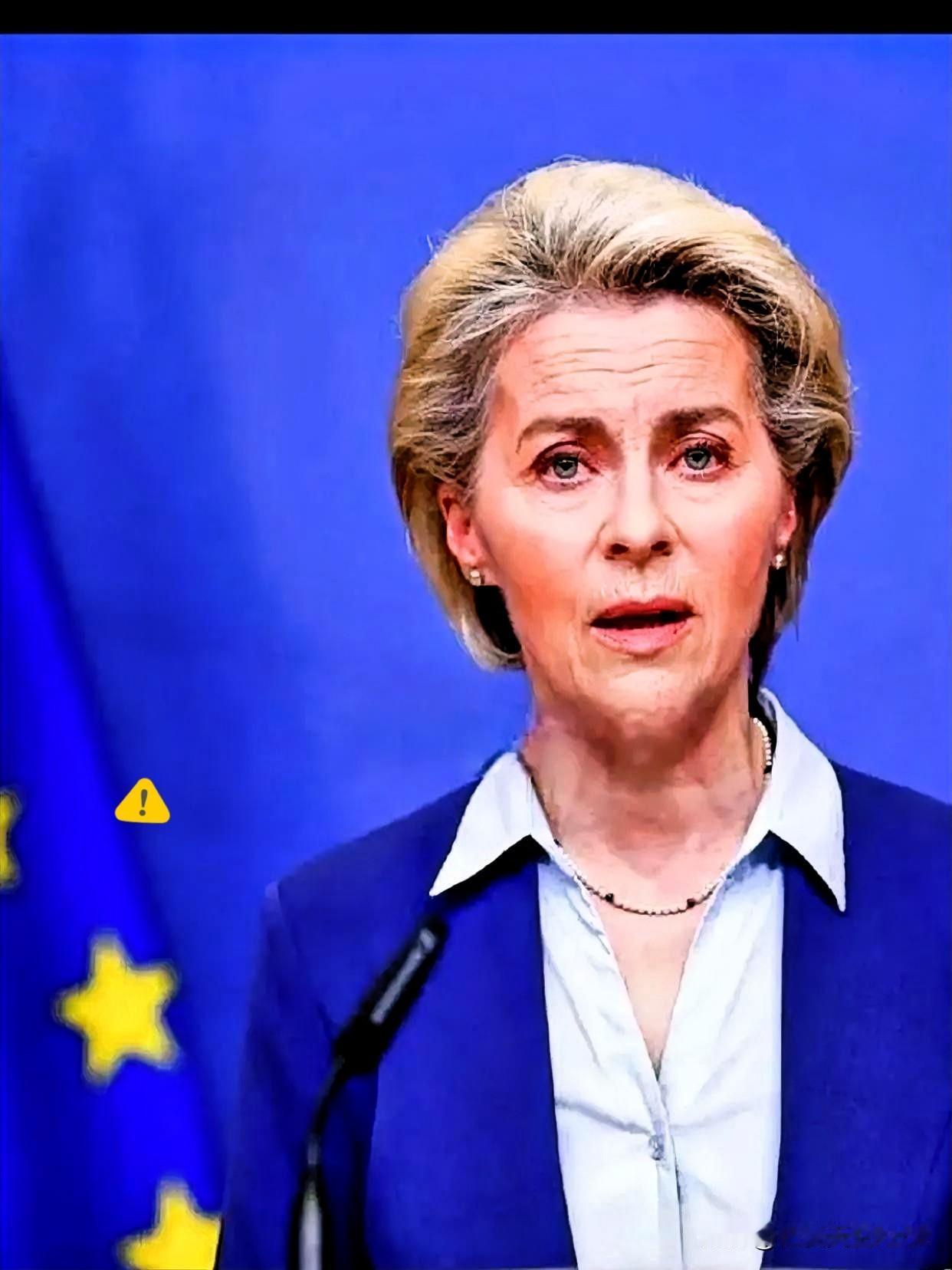 这回冯德莱恩可是彻底下不来台了。

有个狠人当面给她抛了个“送命题”：要是美军封