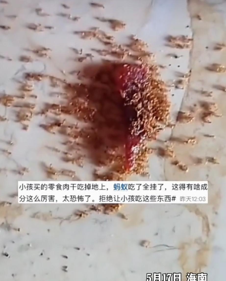 5月17日，海南。宝妈带孩子出去玩，买了一包肉干。俩人玩累了，坐在路边休息。孩子