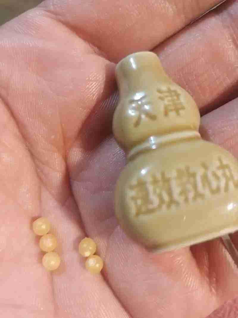 今年年初的一次社区老年人常规体检，被告知心电图异常，让去医院进一步检查。

  