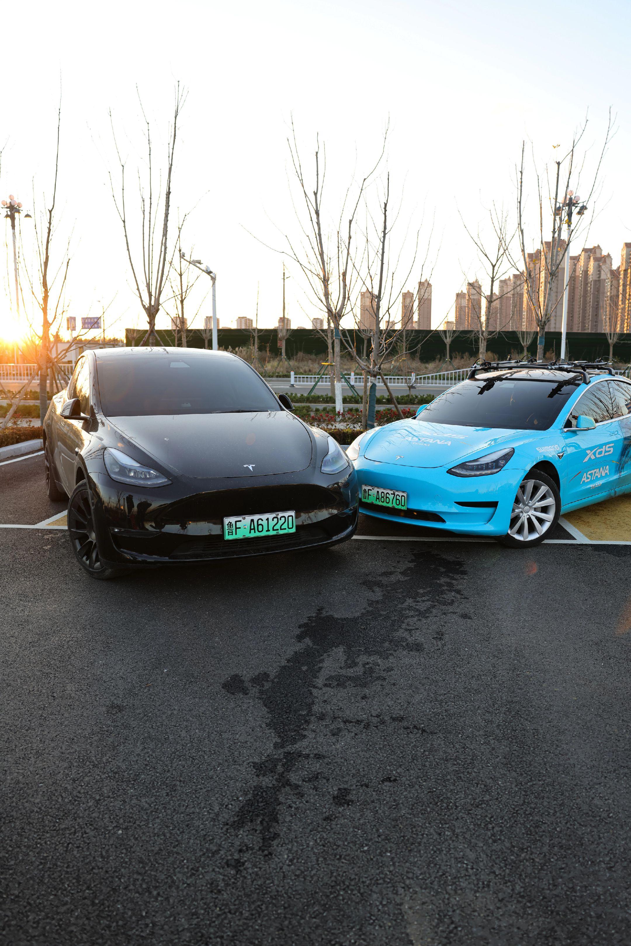 特斯拉Model3和ModelY.