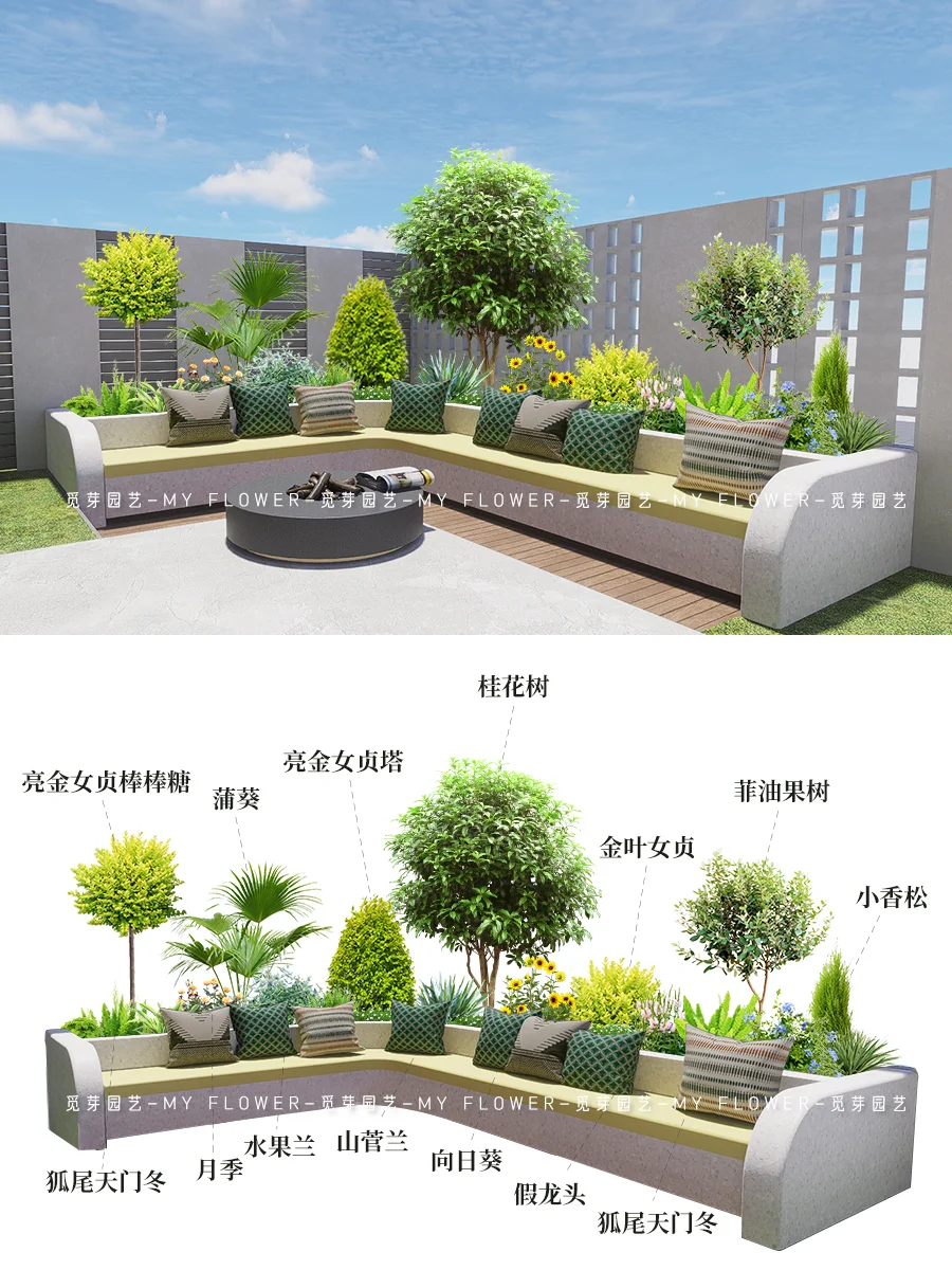 被家人夸爆的露台花箱植物组合|好养又省心