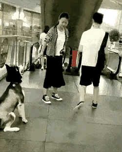 女孩懂狗🐶的意思，下电梯，撒娇不走，现在的女孩伺候狗那是一个上心。