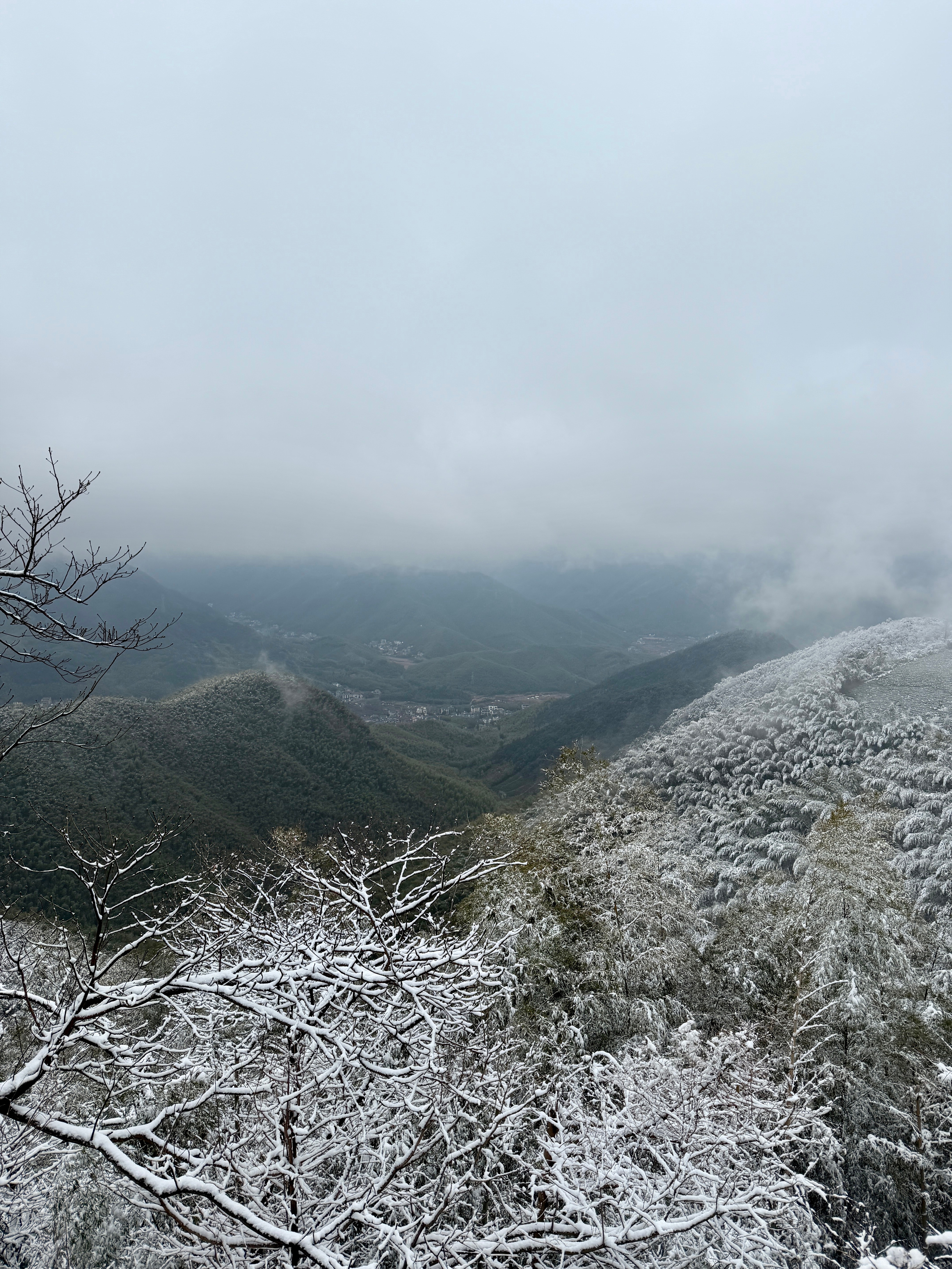 出门见雪正赶上好时候，江浙沪也能体验一把雪景 湖州·莫干山风景名胜区