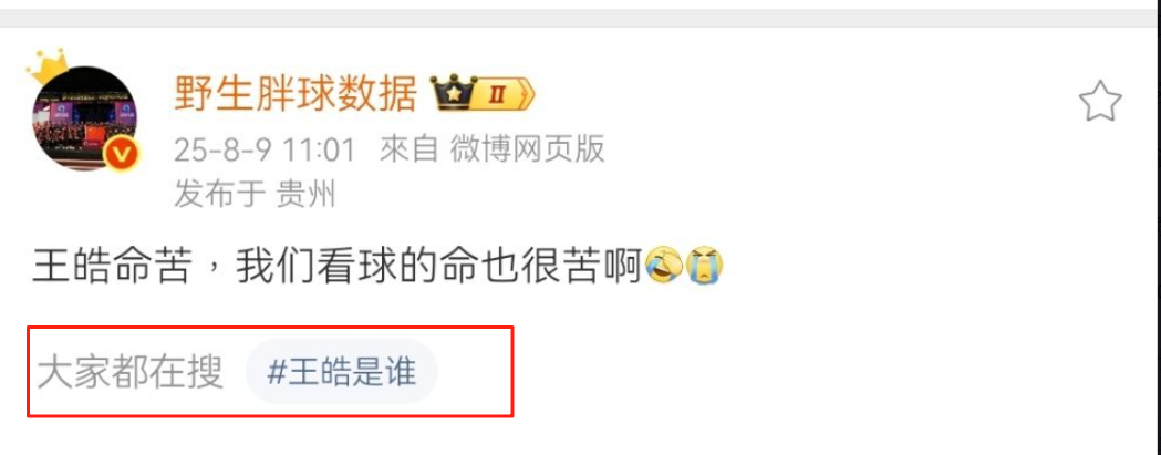 王皓：不认识我吗？看看横滨脸色最像苦瓜，还得保持冷静的那个就是我真的很地狱笑话，