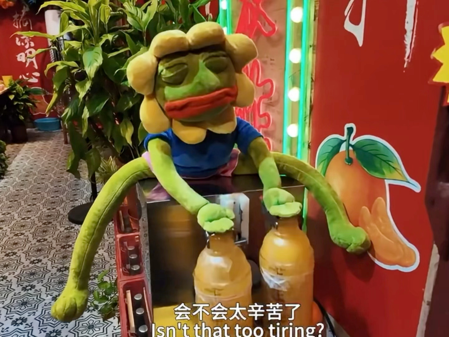 对这种丑娃娃还心疼人家辛苦，哈基星你[泪] ​​​