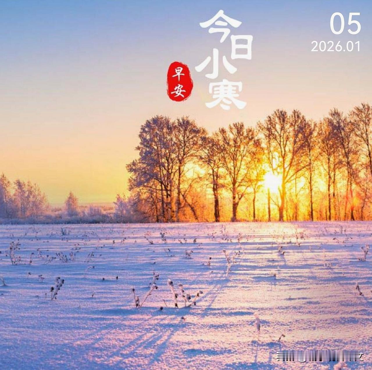 今日小寒
小寒裹衣，冬寒渐深。
愿你在这凛冽时节，
身有暖，心有安。