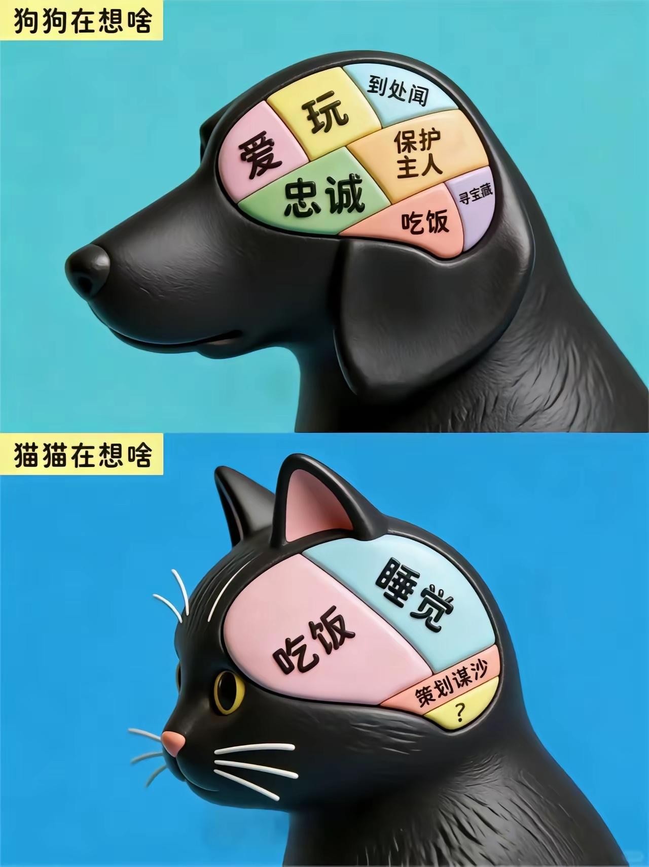 男人爱猫，女人爱狗 是这样吗？🌚