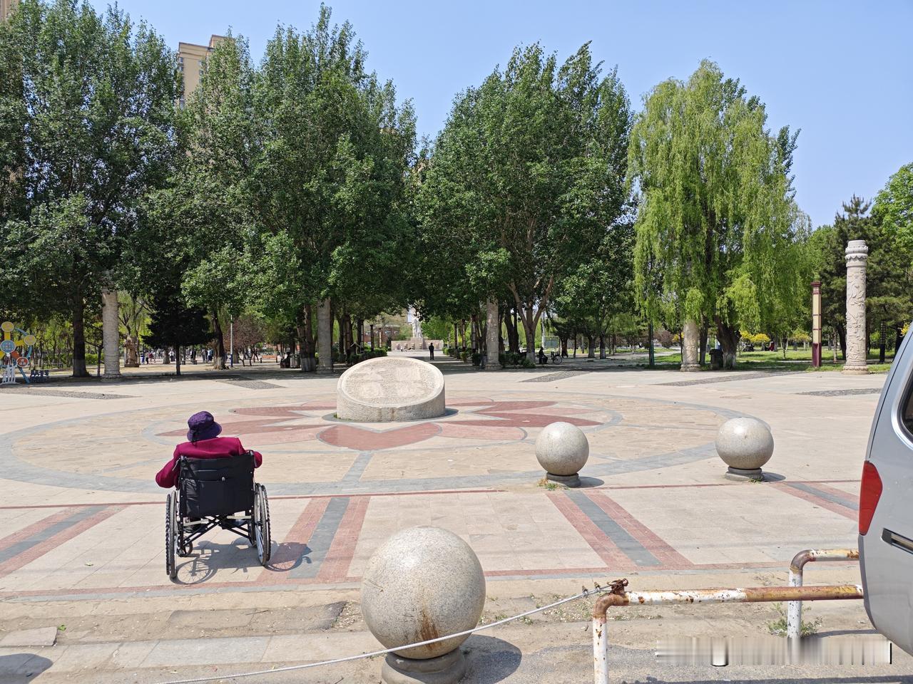 2026穷旅全国第4天:游新民湖滨公园，在新华广场吃午餐
        昨夜穷