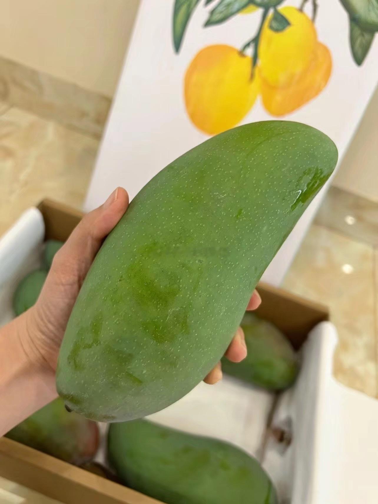 🥭里的三好选手：皮薄、肉厚、味美的大金煌，明天VD上架北纬26度的蓝天白云，还