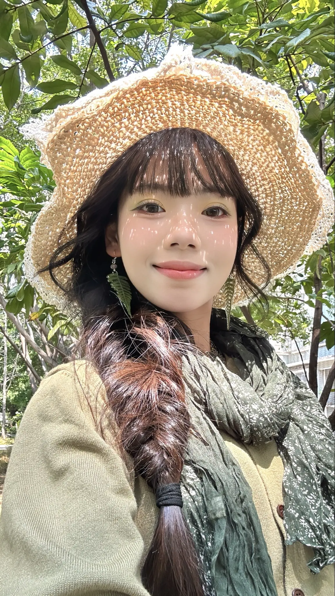 青梅果季节又来了。
