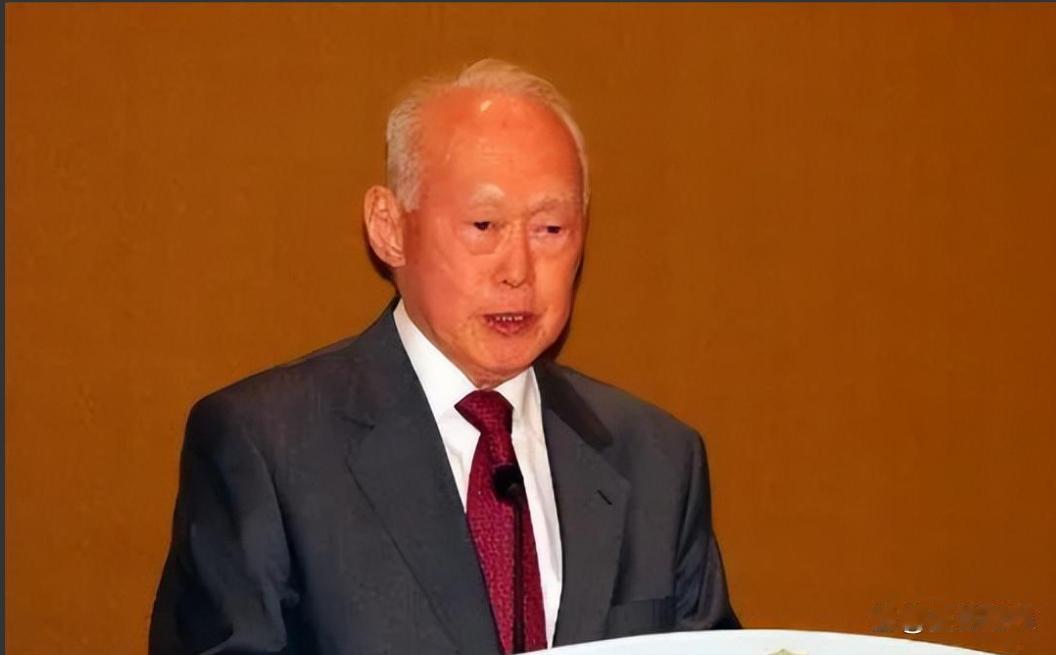 新加坡作为一个华人国家为什么排华却对日本友善？
5月31日，新加坡“香会”期间，