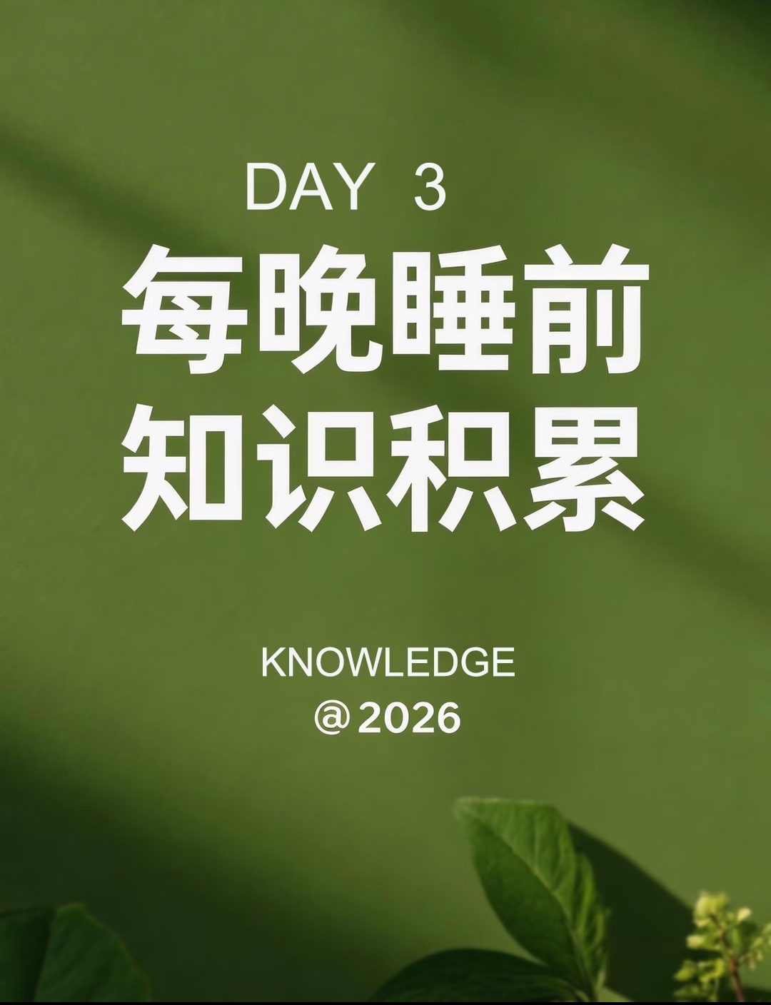 每晚睡前知识积累DAY 3丨悄悄变博学✨每天积累一点点小知识日积月累真的会不一样