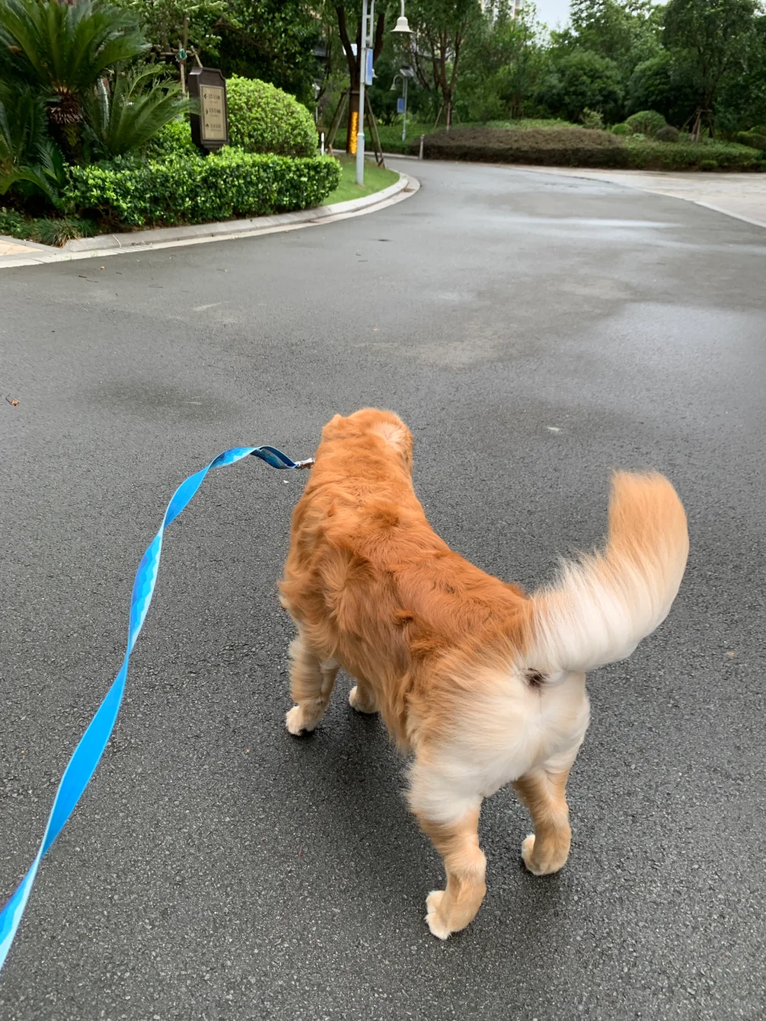 被台风吹得屁股开花啊哈哈