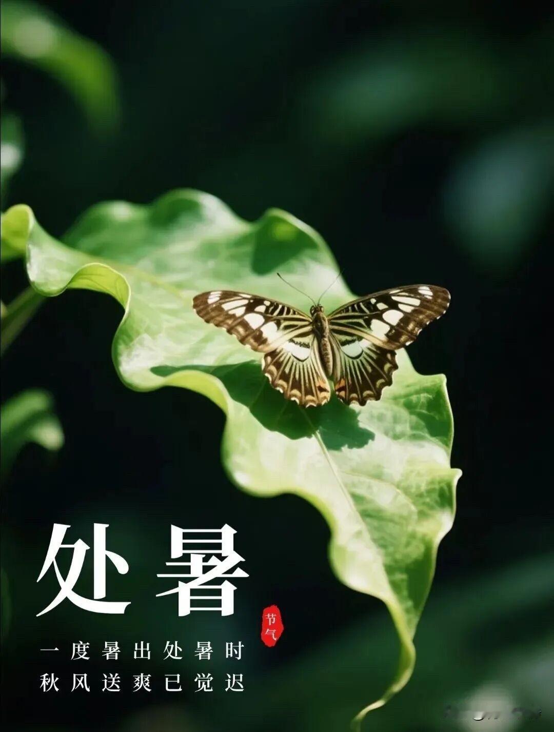 🍂²⁰²⁶/₀₈.₂₃ᵕ̈周日｜处暑晨安☕️🍃

暑尽炎光敛，风清晓色新。
