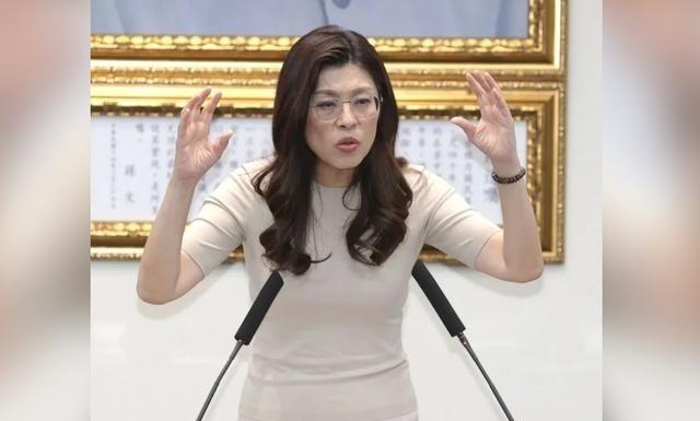摊牌了！就在5月15日，郑丽文与赵少康隔空爆发激烈争吵，照这种势头发展下去，其中