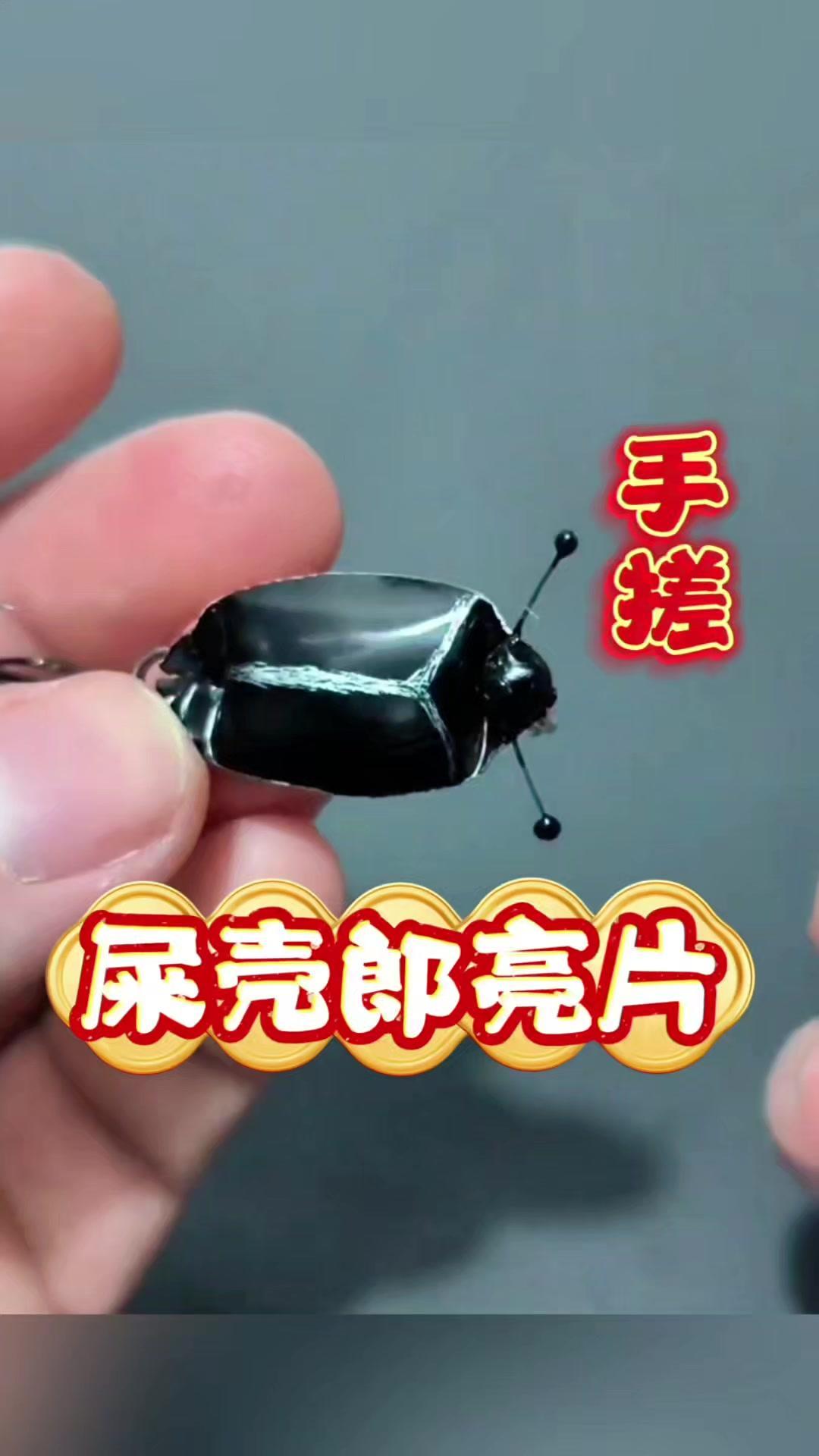 手搓路亚饵教程，5分钟搞定！🍣原来路亚饵还能自己做！今天分享手搓屎壳郎亮片教程