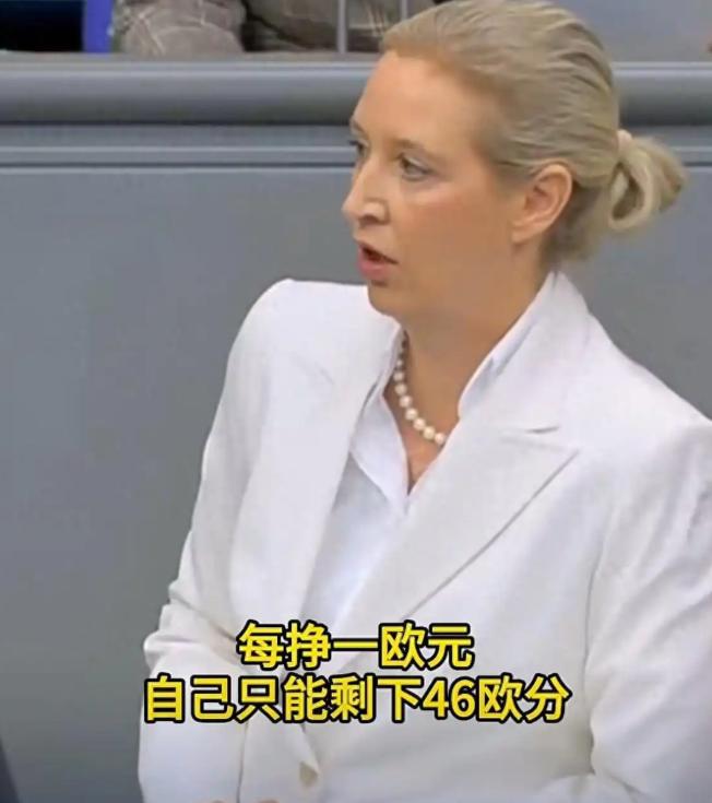 德国人为什么选择魏德尔？说白了，因为德国不想被犹太人绑架，虽然说这个前纳粹高官的