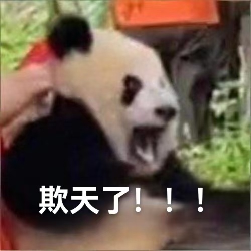 【熊猫：欺天了！熊猫的谣都造？】上世纪八九十年代以来，在圈养大熊猫繁育中出现的“