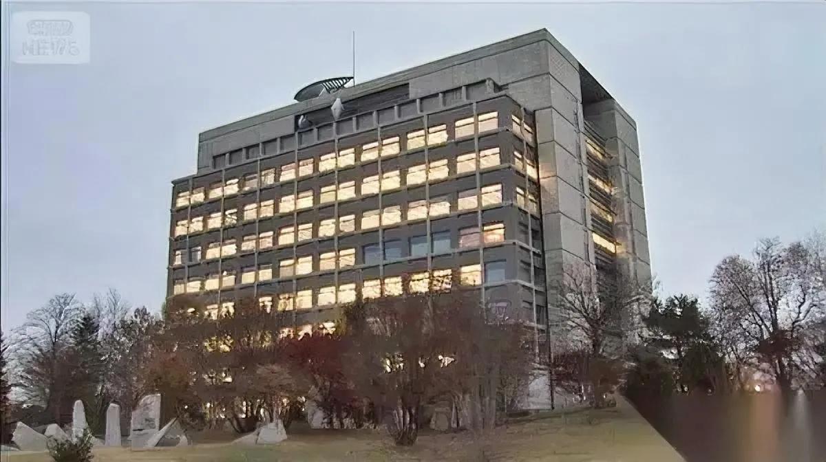 中国女性在日遇害！

现场细节让人脊背发凉…

54岁的史木华在日本筑波市山林中