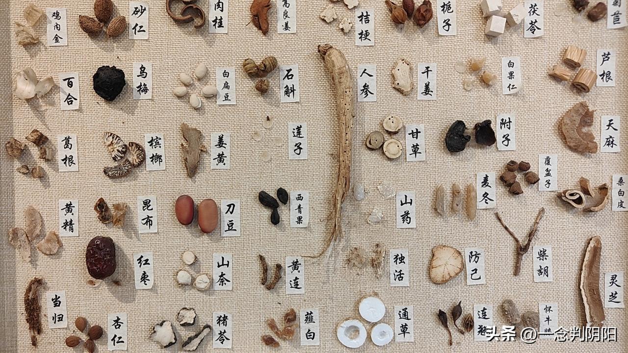关于一些常见的中药材～