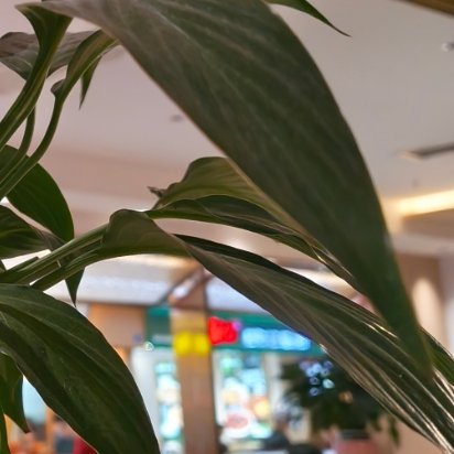 向着月亮出发，即使不能到达，也要站在群星之中 