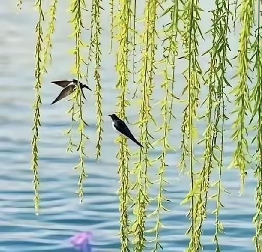 古道马蹄轻，
长街爆竹声。
往来皆喜色，
和家共迎春。