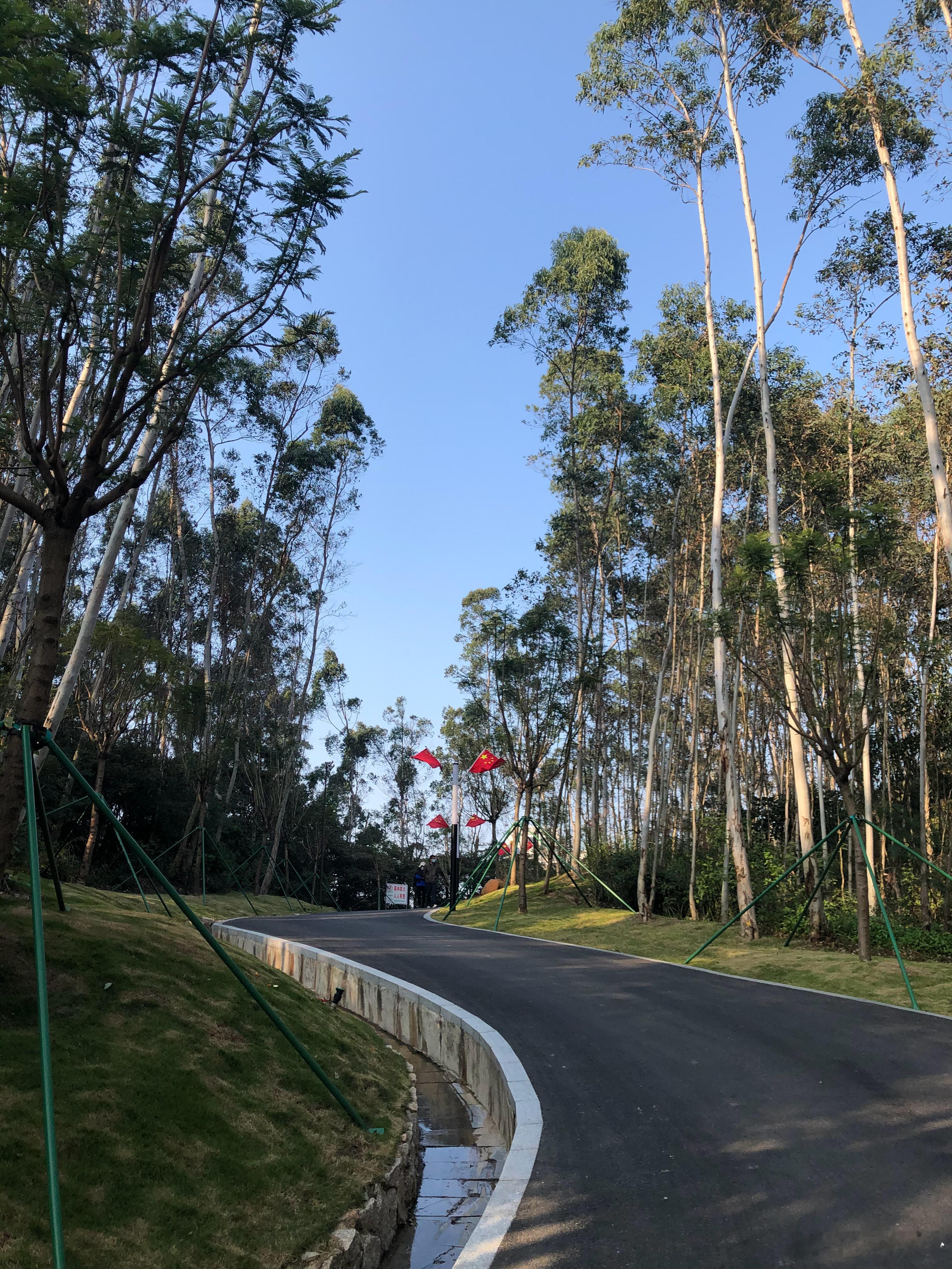 国家气候中心披露，2月15日至23日这个春节假期，全国平均气温达到2.5℃，比常