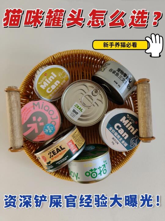 五年养猫人｜手把手教你怎么选罐头！