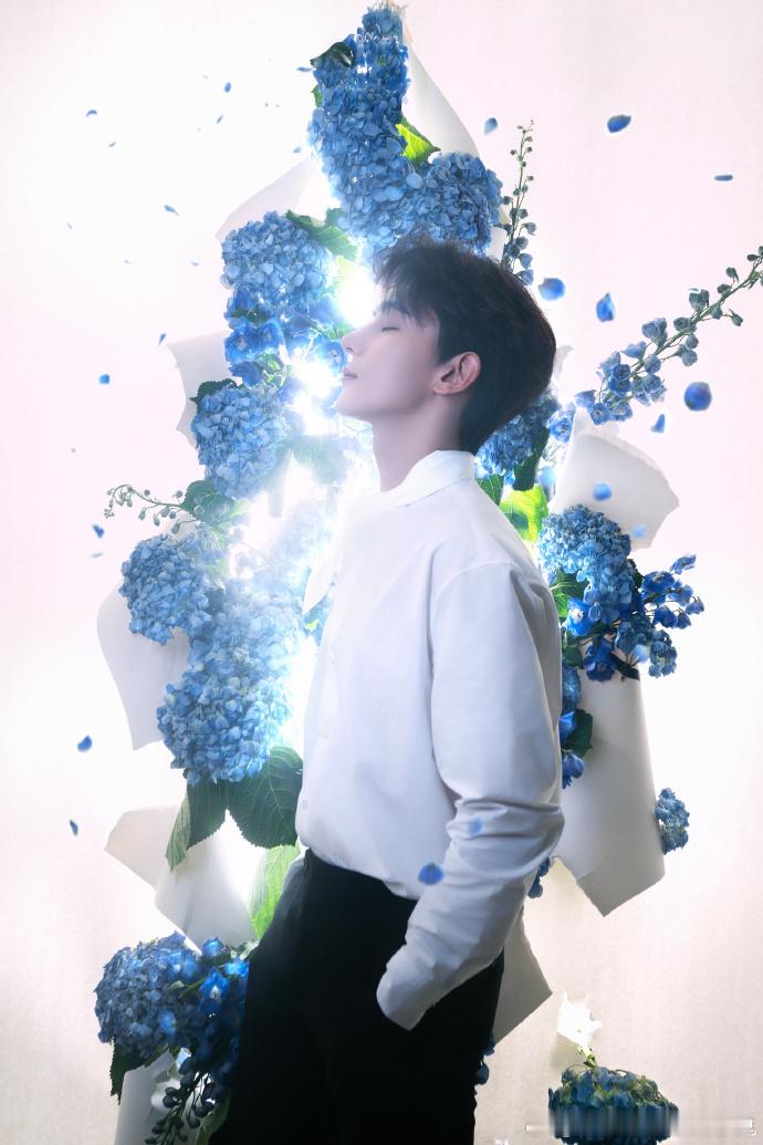 夏之光晒照告别2024  夏之光花丛光影大片  看到夏之光晒出花丛光影大片告别2