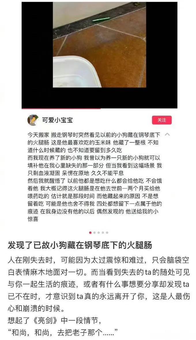 杀我别用小狗刀

我恍然大悟，视野盲区的阴影，是我看不到的他那高大的思想，同事看