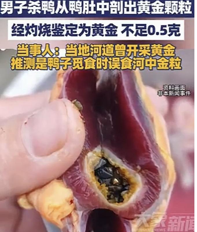 意外之喜！湖南邵阳，一男子过年时杀鸭来吃，不料在处理鸭子时，竟从鸭肚子中发现一些