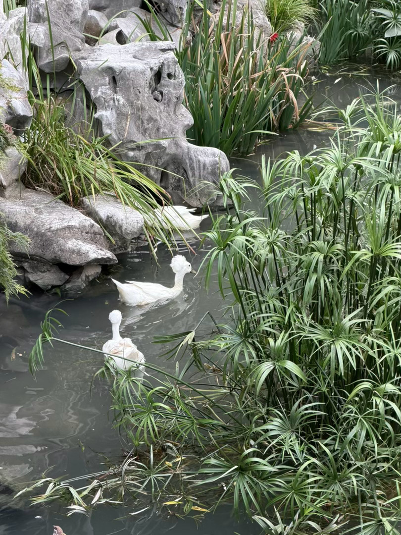分享图片 ​​​
