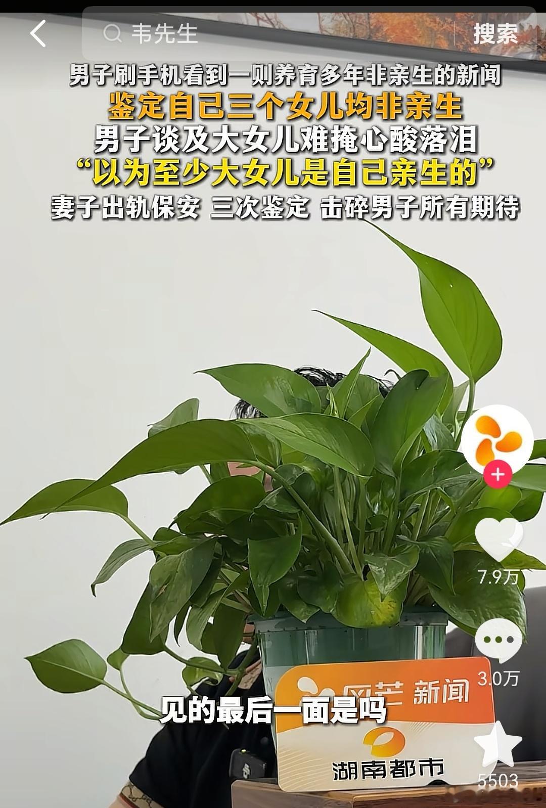 结婚8年3娃非亲生司法鉴定已出结婚8年3娃非亲生，男子在外省工作，妻子出轨保安。