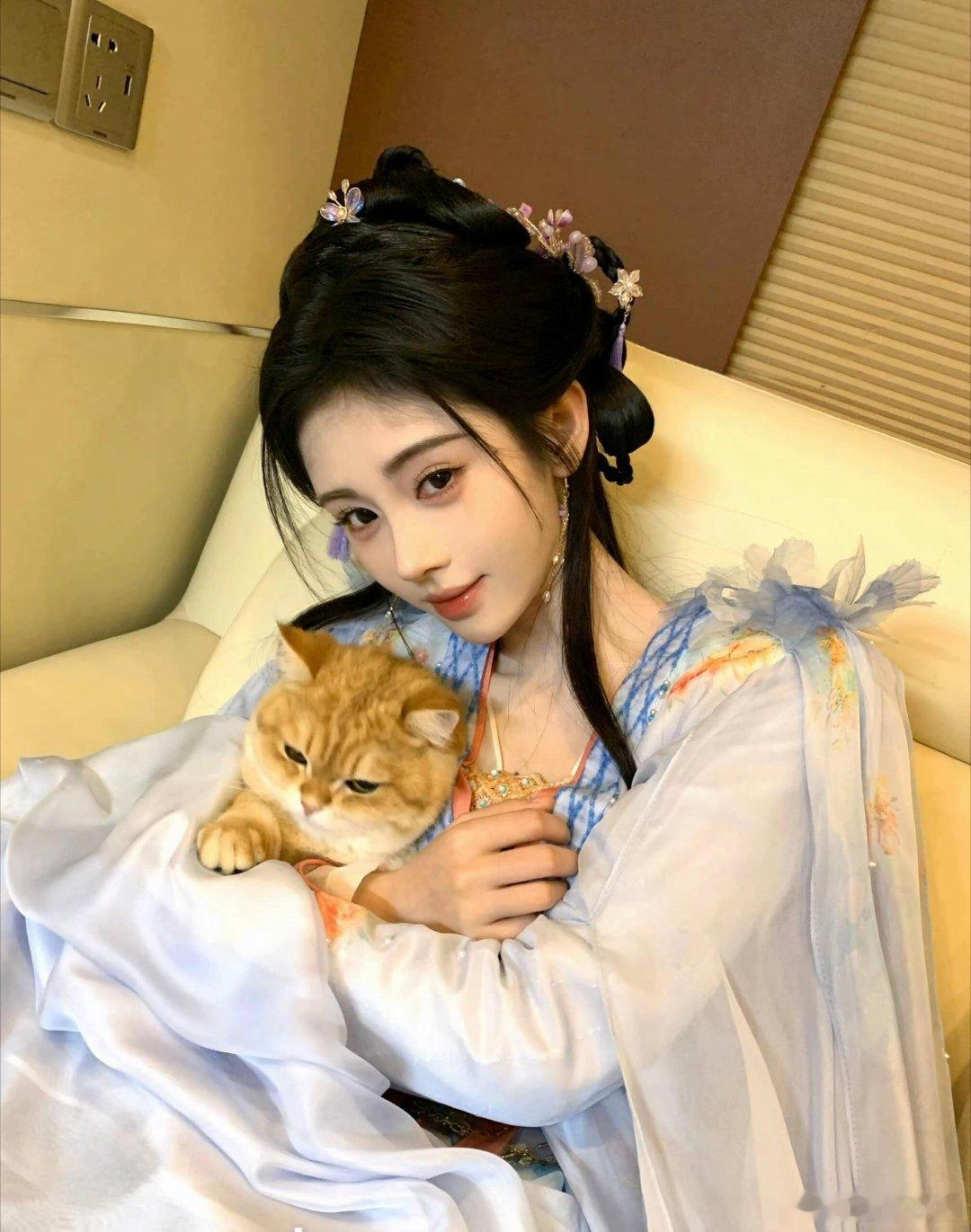 鞠婧祎鞠婧祎的猫也有番位 别人追星追艺人，不少粉丝还在追鞠婧祎的三只小猫，靠着专