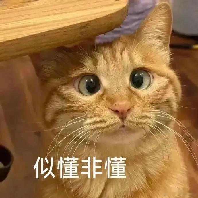 外国游客被雍和宫祈福机器人惊呆 传统香火碰撞科技力量，雍和宫祈福机器人让外国游客