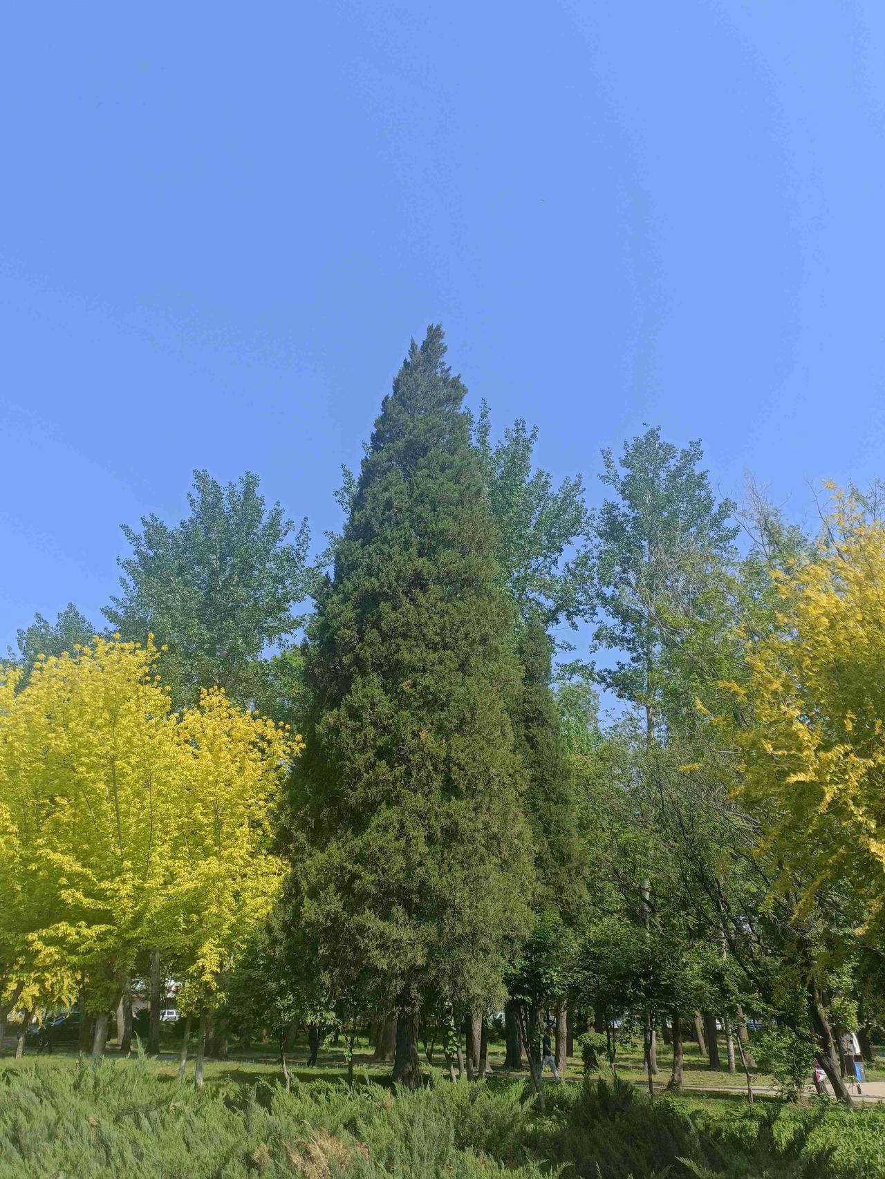 带定位晒今日生活 今日心情轻松愉快，抬头便是晴天！阳光暖烘烘地照在身上，感觉每一