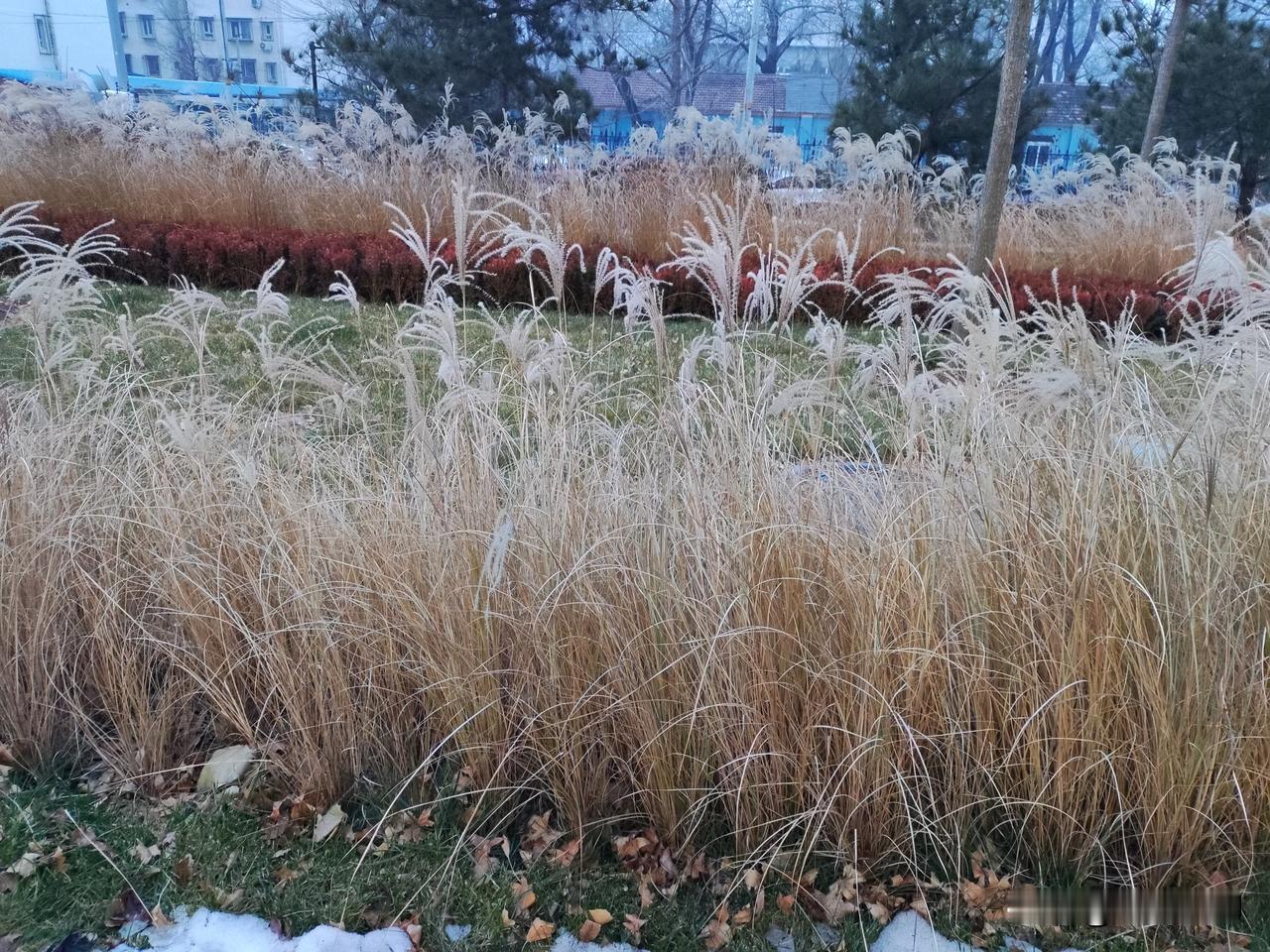 她天天什么房产顾问，我一直不太理解一个演员给一个房产公司做顾问，这个公司需要什么