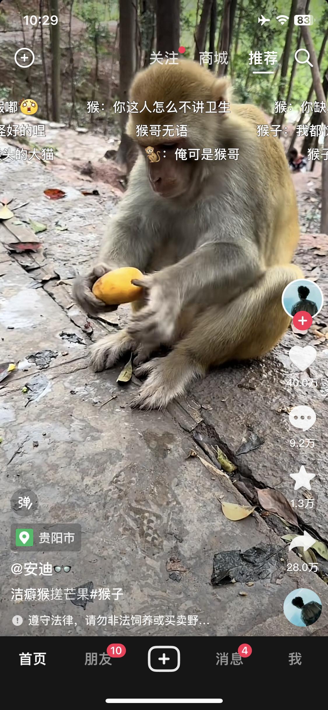 最近不会再发猴子了，以前所有社交软件一刷都是帅哥美女猫猫狗狗，现在铺天盖地全是猴