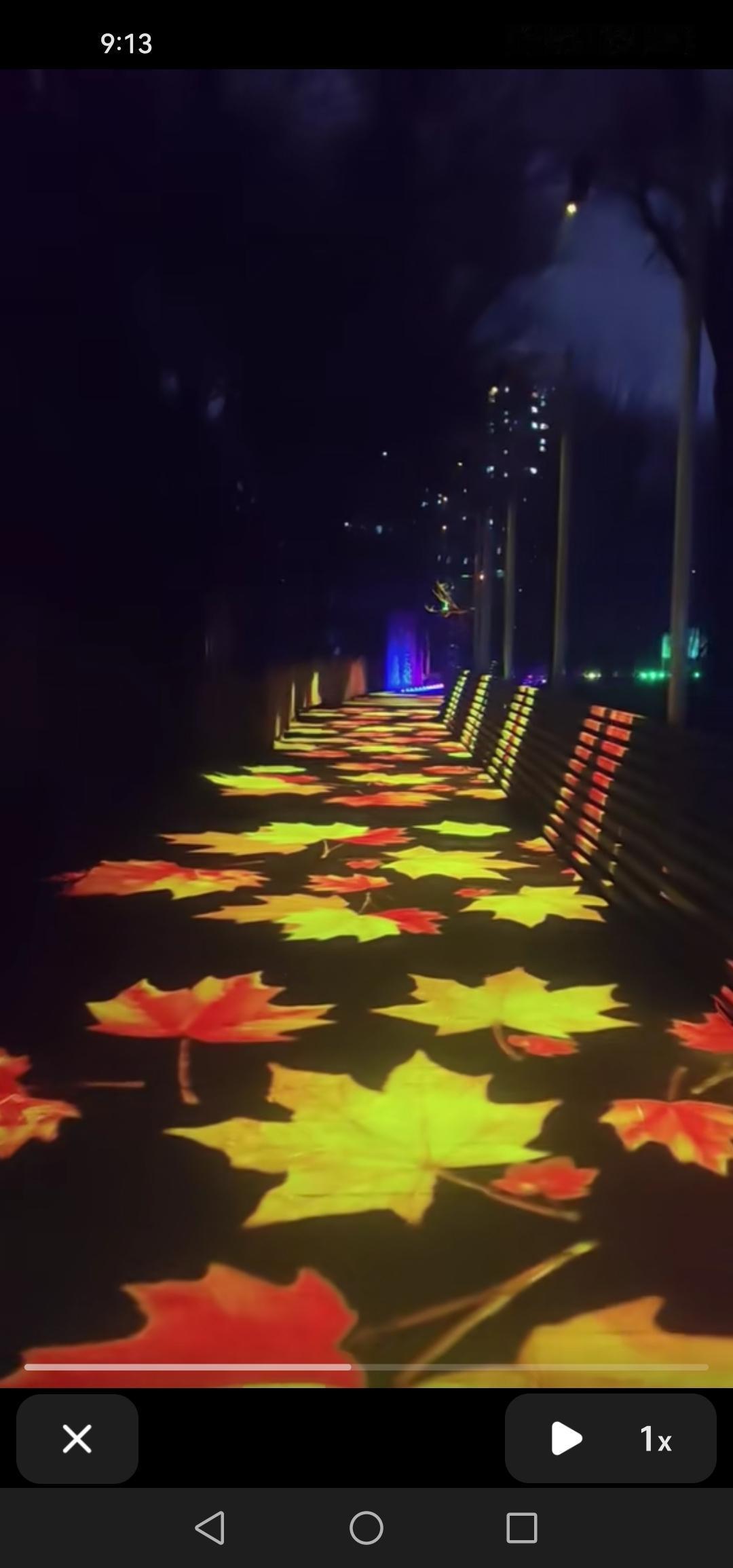 吉林市长白岛湿地公园的夜景亮化全面升级，简直美轮美奂！

吉林长白岛的湿地公园正