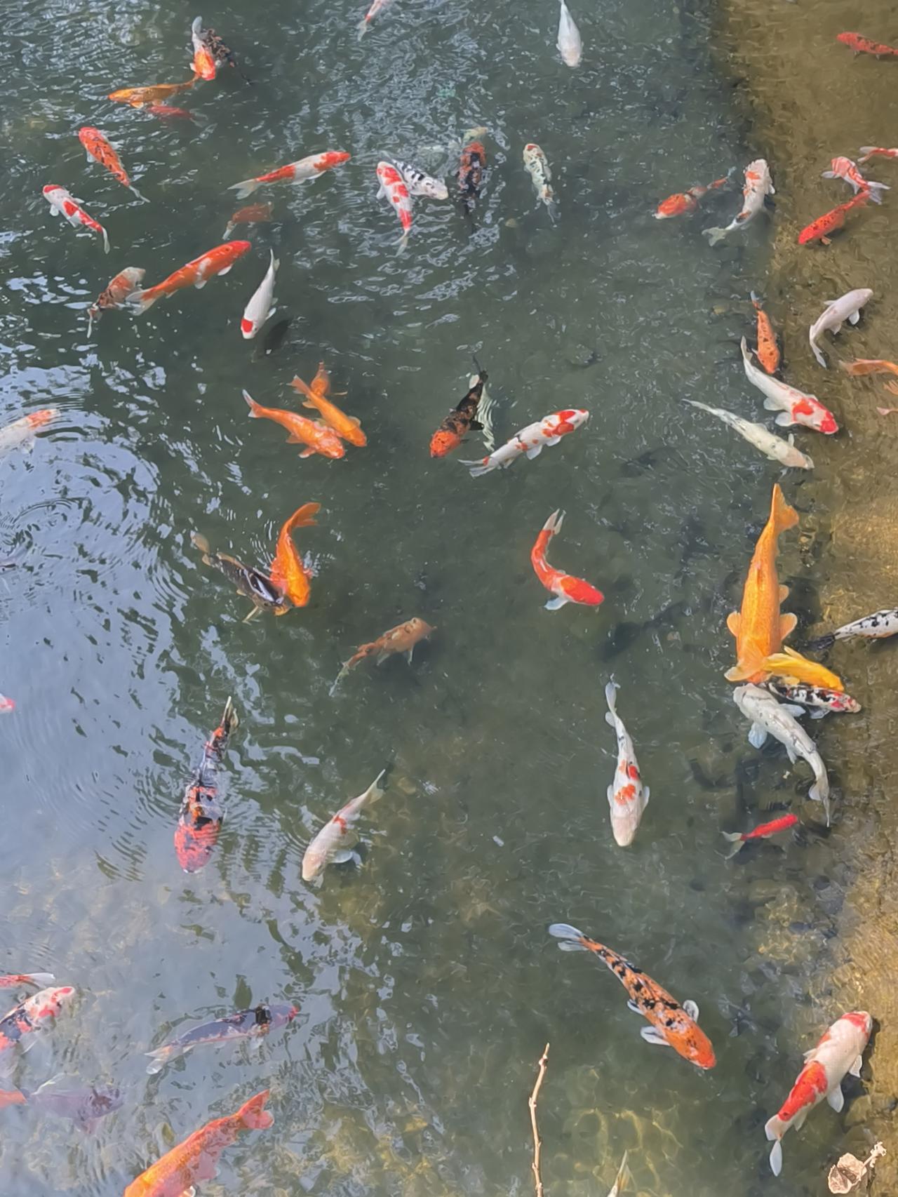 农村里的闲话有多离谱
我表妹大学刚毕业
最近没找到工作，回村里猫着
每天想着，不