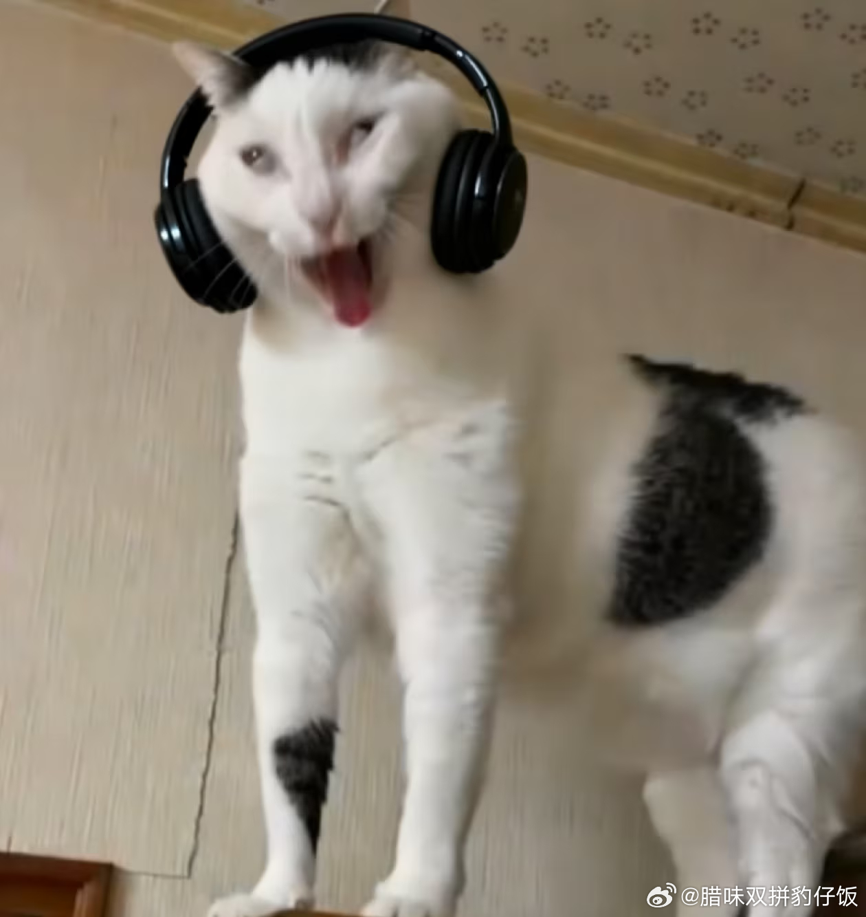 怎么又要上班了 