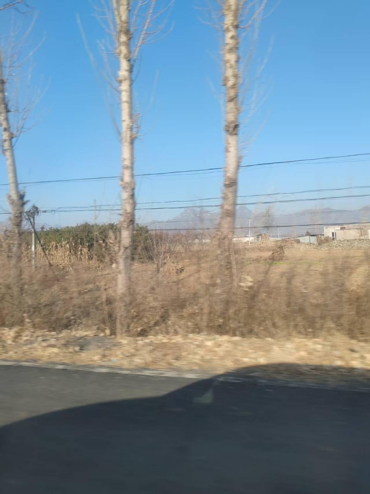 一张图证明冬天来了