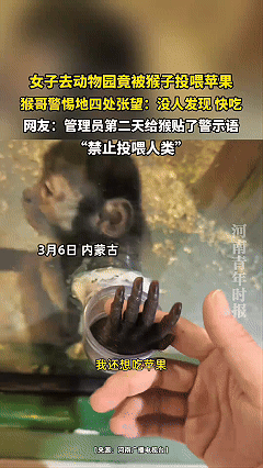 这猴子成精了哇，能听懂人话，纯洁善良，有爱心，懂得分享，更懂得人情世故。女子去动