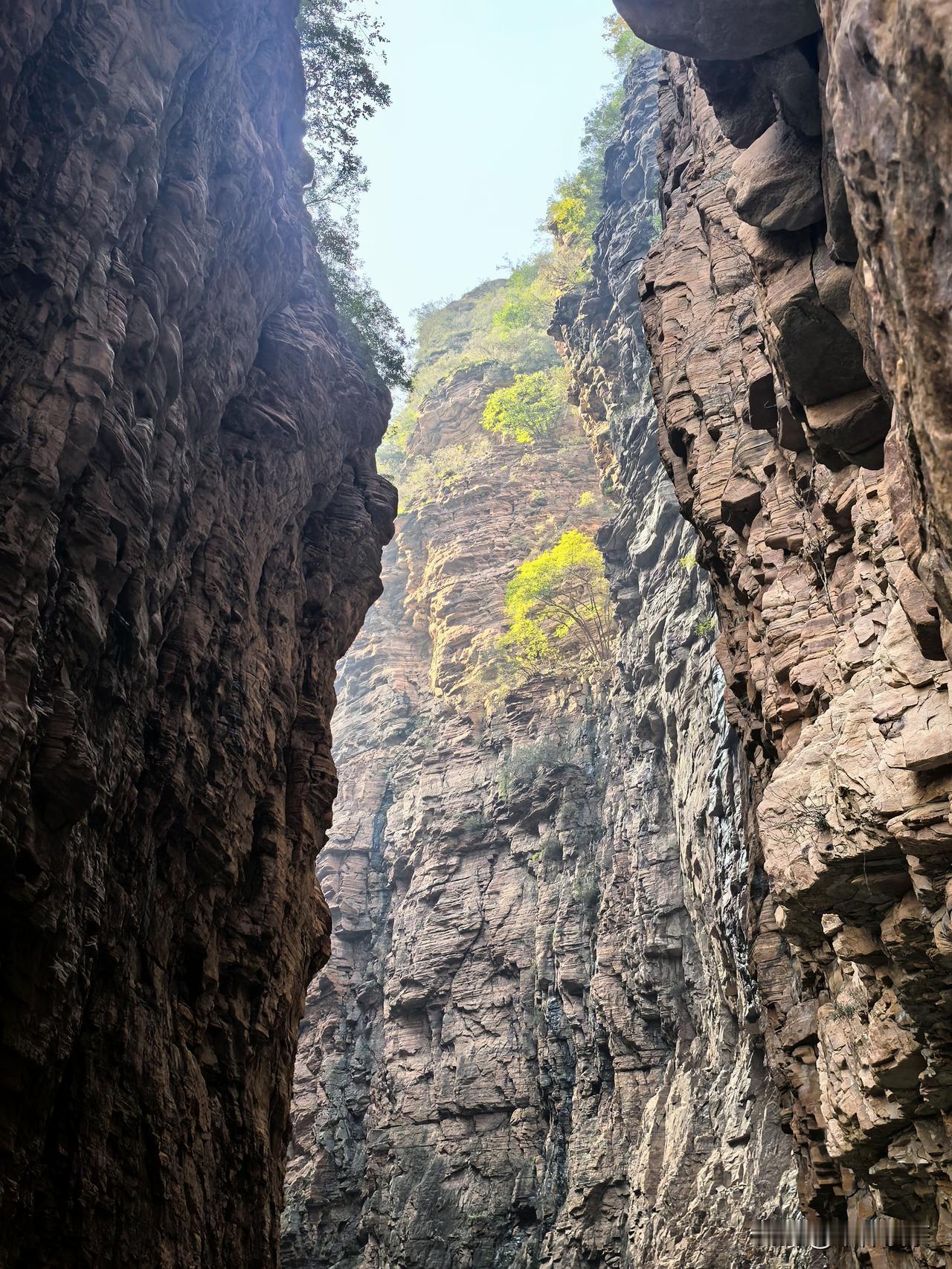 冬日生活打卡季去远行，去历险，去调整心情