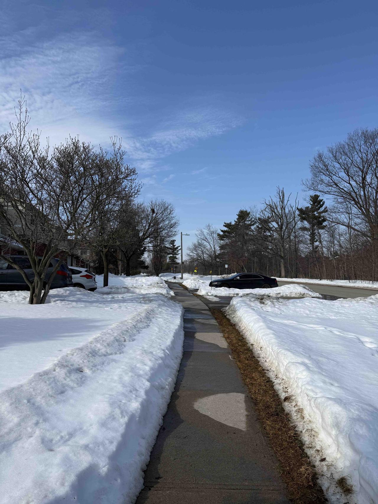 昨天多伦多最高气温6度，可以在不戴帽子的情况下出去散步了！下午在跑步机慢走玩25